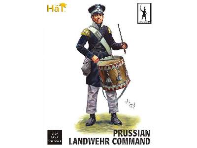 Prussian Landwehr Command - image 1