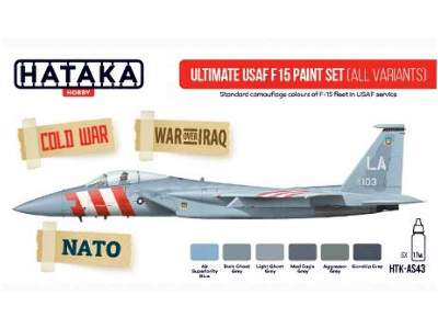 Ultimate USAF F15 Paint Set-All variants - image 4