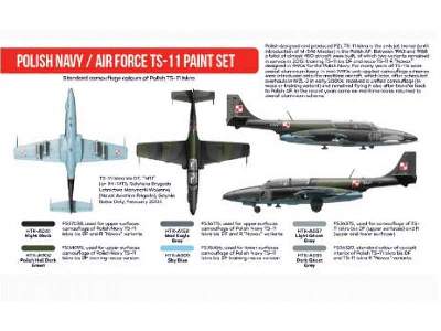 Polish Navy/Air Force TS-11 paint set - image 3