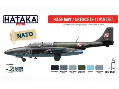 Polish Navy/Air Force TS-11 paint set - image 4