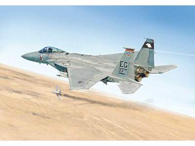 F-15C Eagle Gulf War 25th Anniversary - image 1