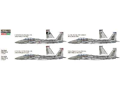 F-15C Eagle Gulf War 25th Anniversary - image 4