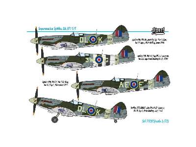 Spitfire Mk.XIV E/C - image 2