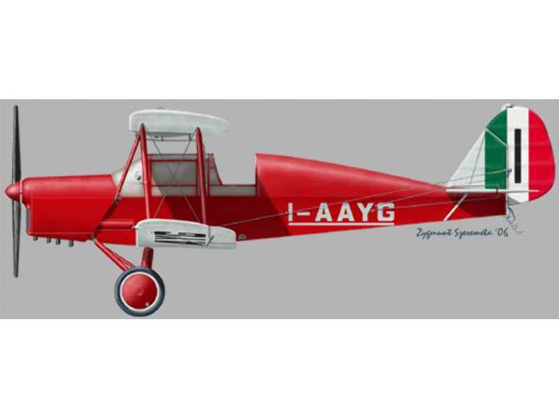 Caproni Ca 100 Limousine - image 1