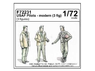 USAF Pilots - image 4