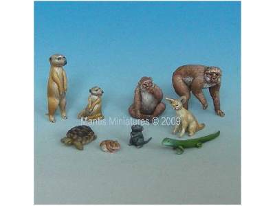 Animals - Set 1 (mediterranean and african) - image 1