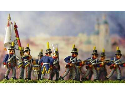 Napoleonic Swedish Infantry  - image 8