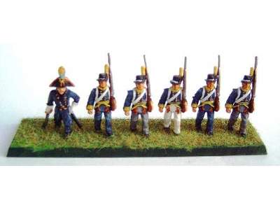 Napoleonic Swedish Infantry  - image 9
