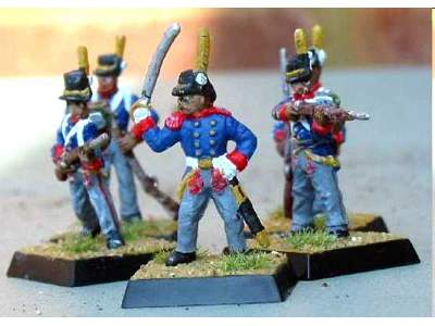 Napoleonic Swedish Infantry  - image 10
