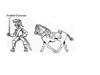 Napoleonic Swedish Cavalry - image 6