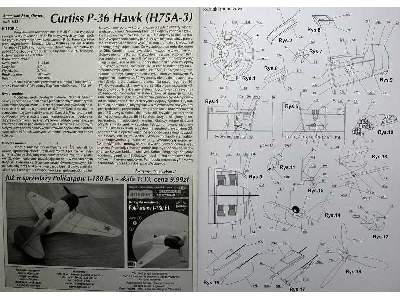 Curtiss P-36/(H75A-3) Hawk - image 4