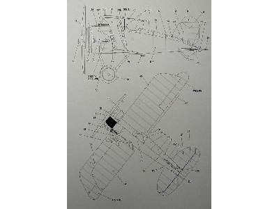 Albatros D.XI - image 8