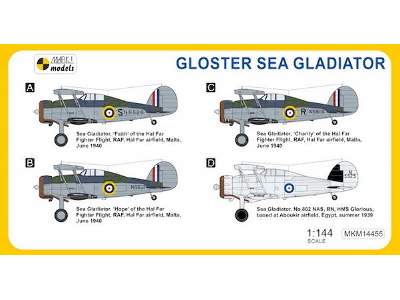 Gloster Sea Gladiator - image 2