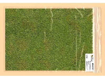 Grassy surface  - image 1