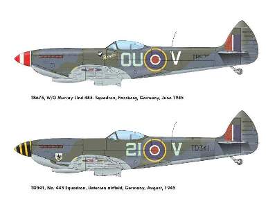 Spitfire Mk.XVI  -  DUAL COMBO - image 2