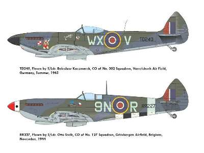Spitfire Mk.XVI  -  DUAL COMBO - image 4