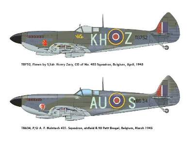Spitfire Mk.XVI  -  DUAL COMBO - image 5