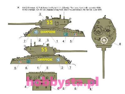 Free French Forces Sherman tanks vol. 1 - image 5