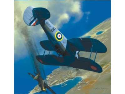 Gloster Sea Gladiator - image 1