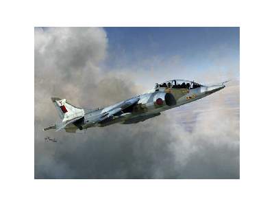Harrier T.Mk.2/2A/4/4N - image 1