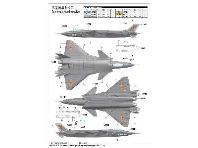 Chinese J-20 Mighty Dragon (Prototype No.2011) - image 4