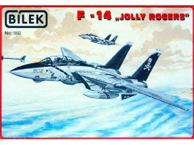 F-14 "Jolly Rogers" - image 1
