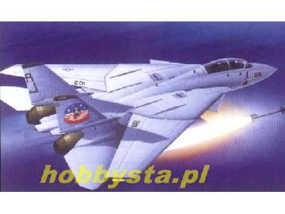Grumman F-14A Tomcat - image 1