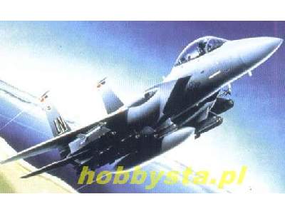 F-15E Strike Eagle - image 1
