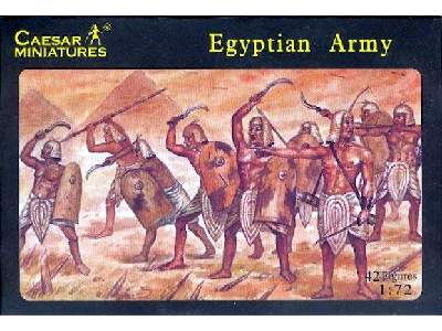 Egyptian Army - image 1