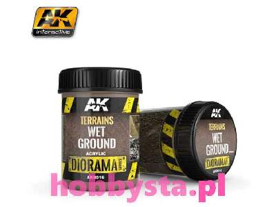 Terrains Wet Ground 250ml - image 2