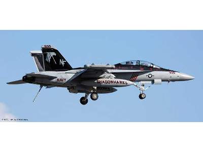 Ea-18g Growler USS Ronald Reagan Cvw-5 Cag - image 1