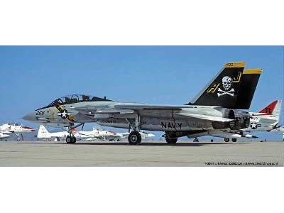 F-14a/B Tomcat Jolly Rogers- 2 Kits - image 1
