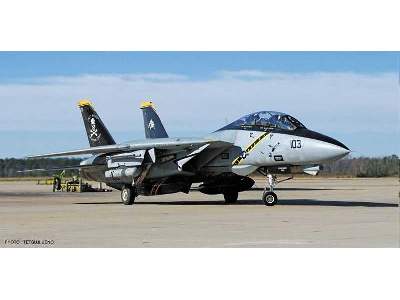 F-14a/B Tomcat Jolly Rogers- 2 Kits - image 2