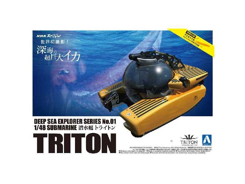 Deep Sea Triton Submarine 3300/3 - image 1 Deep Sea Triton Submarine 3300/3 - image 1