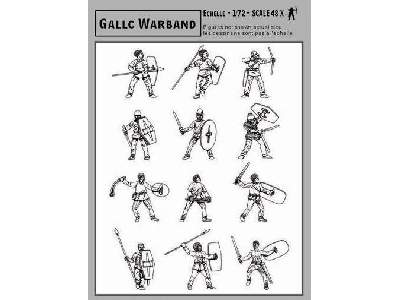 Gallic Warband  - image 3