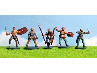 Gallic Warband  - image 4