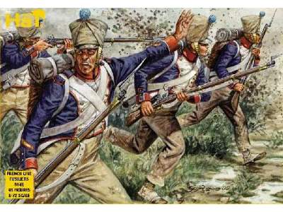 Napoleonic French Fusiliers - image 1