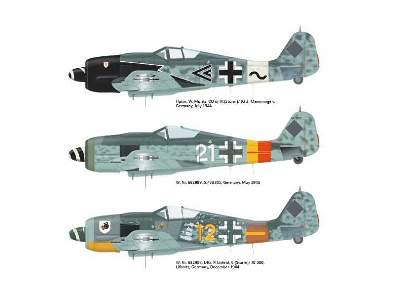 Focke Wulf Fw 190A-8/R2 - image 4