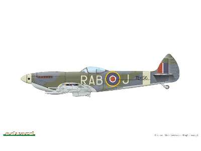 Spitfire Mk.XVI Bubbletop - image 13