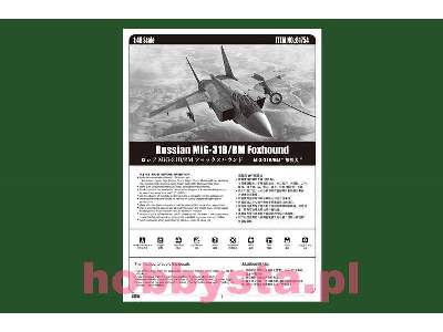 MiG-31B/BM Foxhound  - image 6