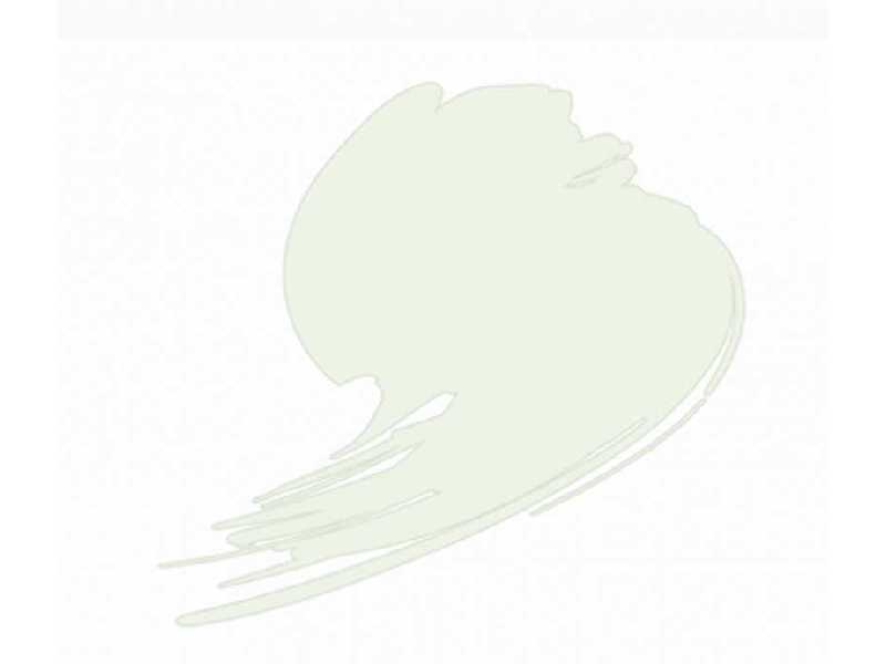 HTK-B049 Insignia White ( FS17875,ANA 511) - image 1