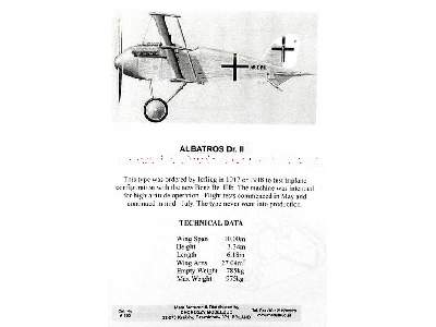 Albatros Dr II - image 8