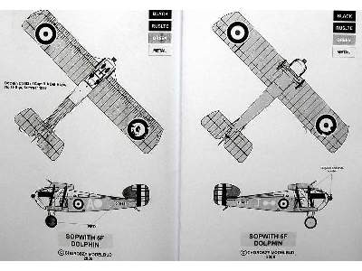 Sopwith Dolphin - image 10