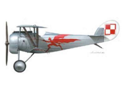 Nieuport 24 - image 1