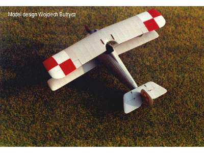 Nieuport 24 - image 3