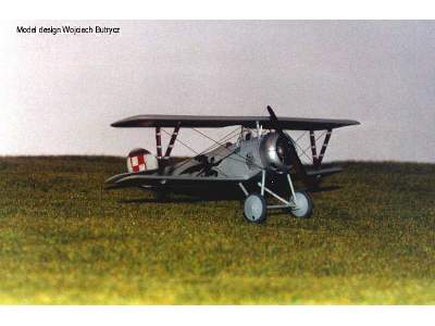 Nieuport 24 - image 4