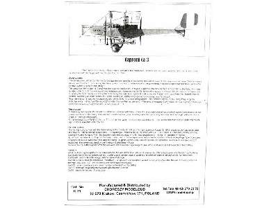 Caproni Ca.3 torpedoes version - image 12