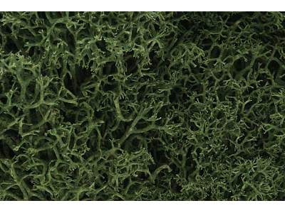 Zarośla - Medium Green Lichen (Bag - image 1