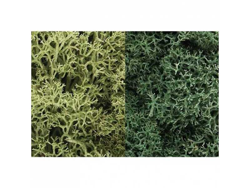 Zarośla - Light Green Mix Lichen (1 - image 1