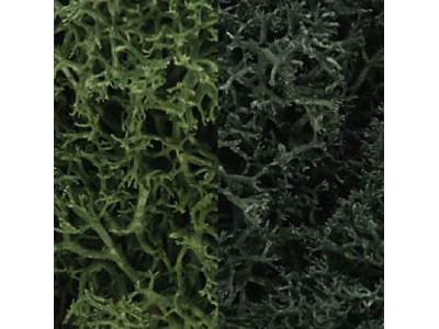 Zarośla - Dark Green Mix Lichen (1. - image 1